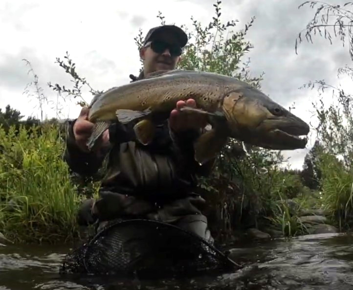 Sight fished brown from ILFF Ambassador Adam.