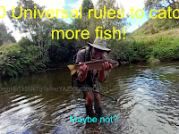 10 Universal rules to catch more fish!